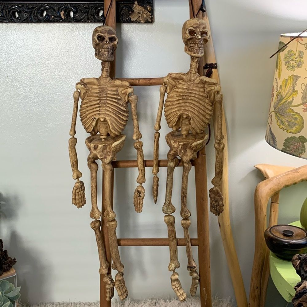 Pair Of Spooky 24” Long Plastic‎ Hanging Skeletons Halloween Decor